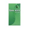 Salem Menthol 100's